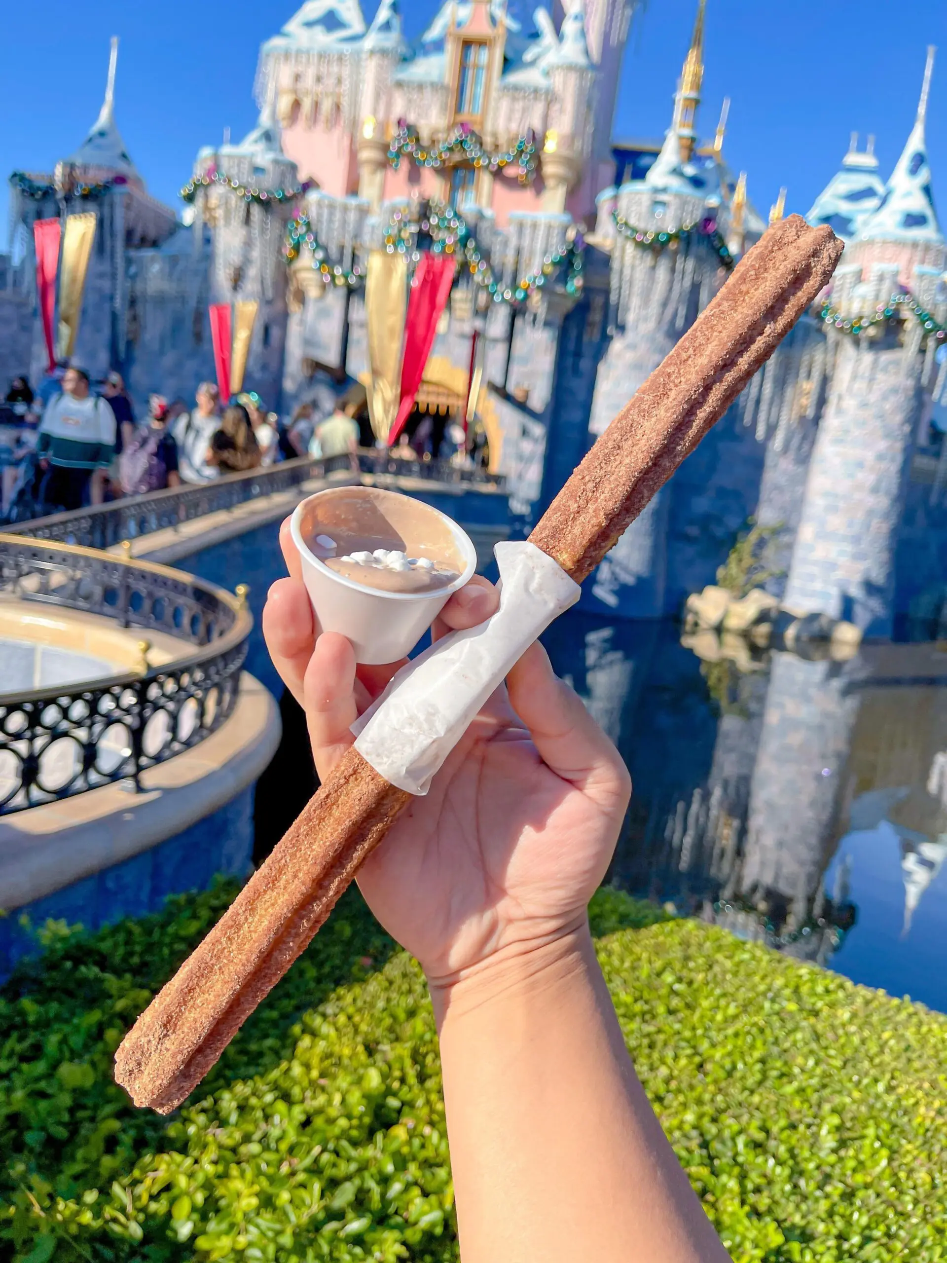 Churros at Disneyland