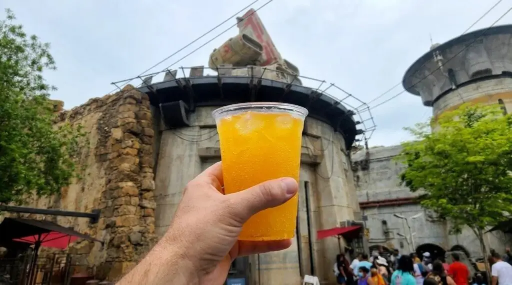 Batuubucha Tea at Disneyland, Kombucha Drink