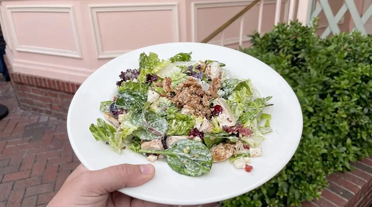 Healthy Food At Disneyland, Salad from Plaza Inn