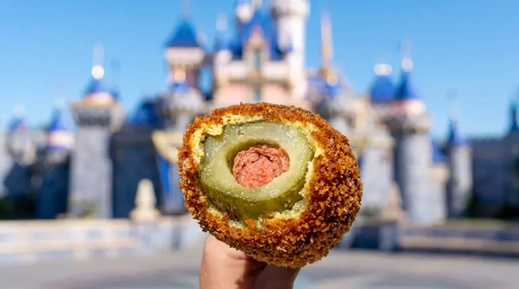 Pickle Corndog in front of the Disneyland Castle
