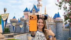 What Happens If You Lose Your Phone at Disneyland?