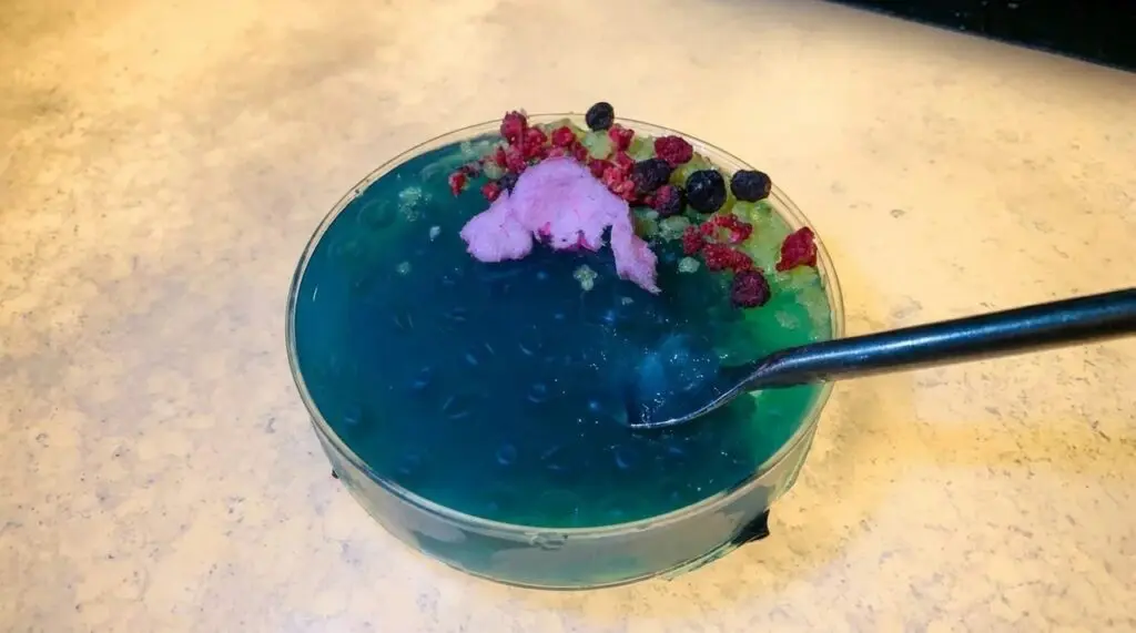 Oga's Obsession at Oga's Cantina, Disneyland Resort