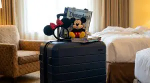 Is There Luggage Storage at Disneyland?