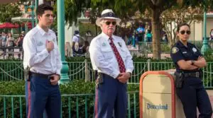 10 Ridiculous Reasons People Got Arrested at Disneyland